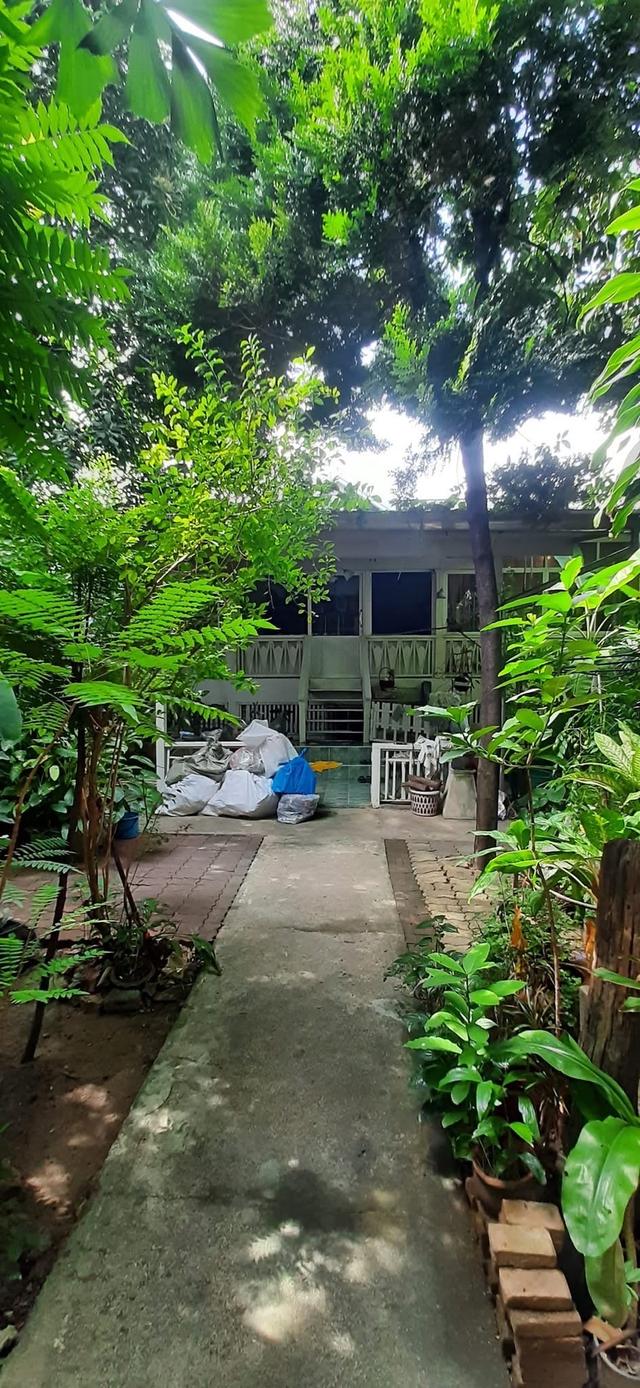 "ขายครับเจ้าของขายเอง"🏡บ้านสวนตลิ่งชัน พุทธมณฑลสาย1/22 พร้อมสิ่งปลูกสร้างบ้าน3หลัง1หลังสร้างด้วยไม้สักทองครับเนื้อที่235ตร.ราคาขาย40M. 6