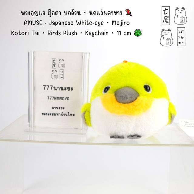 นกอ้วน・นกแว่นตาขาว 🦜 Japanese White-eye・Mejiro・AMUSE・Kotori Tai・Birds・Plush・Keychain・11 cm 🍀