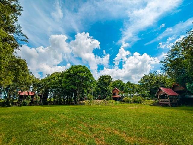 ขายที่ดินทำเลทองพร้อมสิ่งปลูกสร้าง บนเนื้อที่ 18 ไร่ 2 งาน 19 ตารางวา พิษณุโลก 1