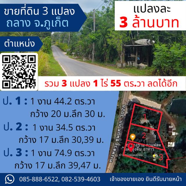 ที่ดินภูเก็ต โซนถลาง 1 ไร่ ควนตาแท่น บ้านเขาล้าน ติดธรรมชาติ ห่างจากถนนหลัก 4 กม. 1