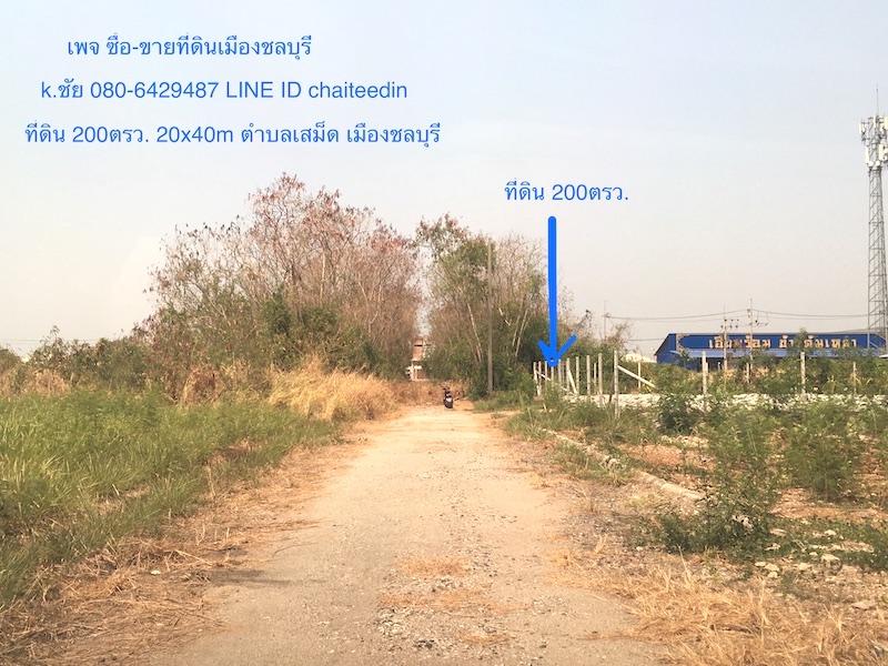 ขายที่ดินเมืองใหม่ พระยาสัจจา ในเมืองชลบุรี เนื้อที่ 200ตรว. 20x40m หลังร้านจิ๊บซีฟู้ด หลังร้านอาหารโอชิเน ตำบลเสม็ด 7