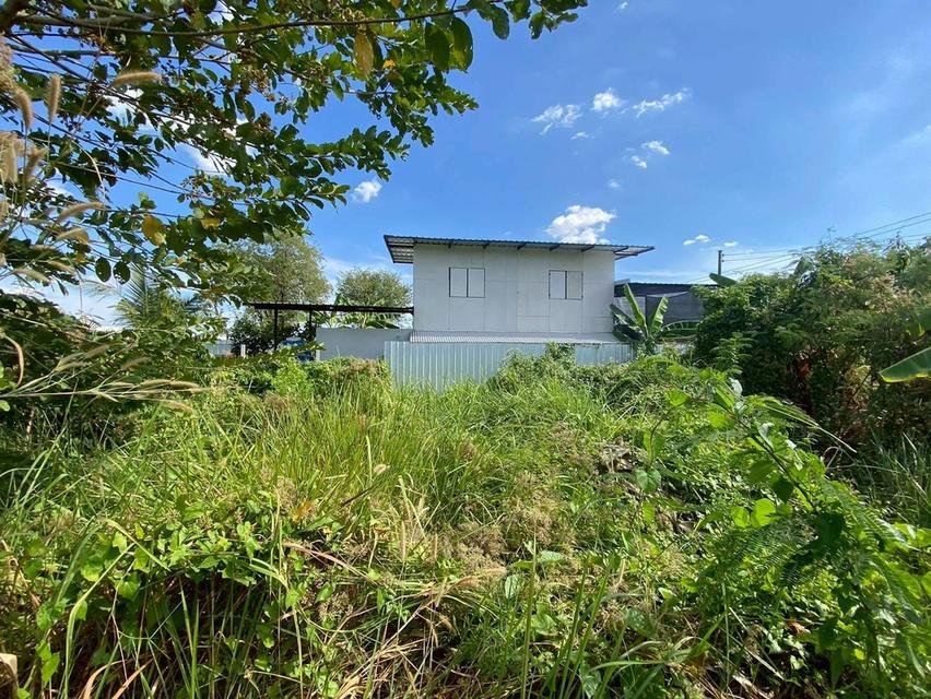 Vายถูกที่ดินใกล้สวนหลวง ร.9 เนื้อที่ 100 ตารางวา ติดถนนคอนกรีตสาธารณะ  เฉลิมพระเกียรติ ร.9 ซอย 36 พระโขนง กทม 9