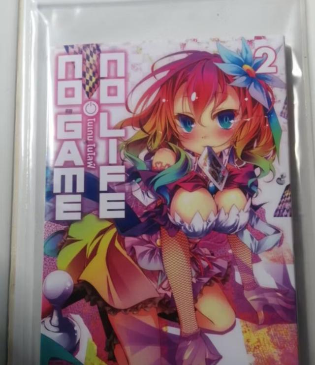 No Game No Life เล่มที่ 2