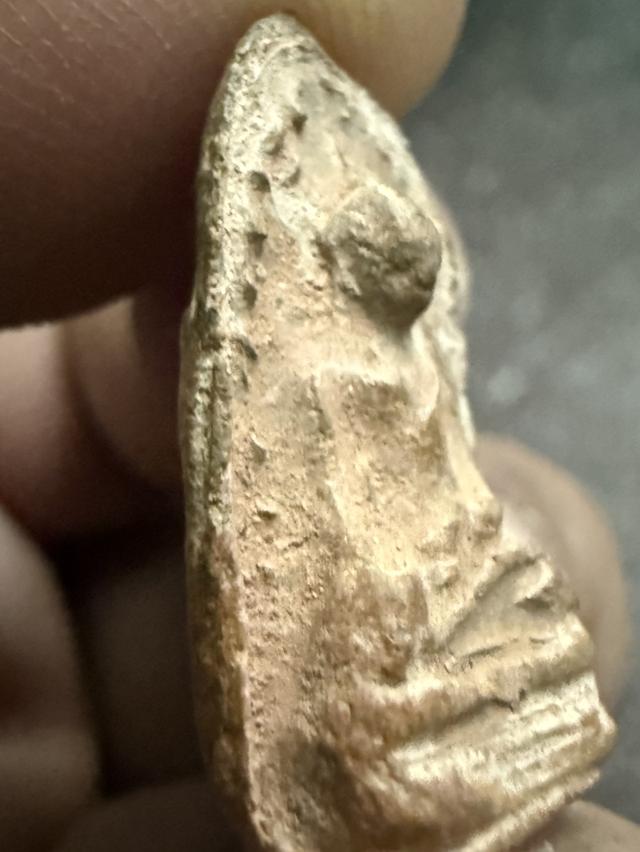 พระรอดลำพูนพิมพ์ใหญ่ 2