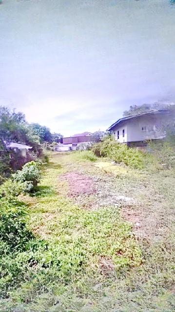 ขายที่ดิน พร้อมบ้านไม้ 201ตร.วา.ถูกกว่าประเมินกรมธนารักษ์ MRTบางชัน 1.6 กม. 841ตร.ม. MRT เศรษฐบุตรบำเพ็ญ . ถ.เจริญพัฒนา