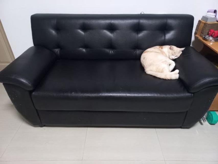โซฟา The Winer 2 ที่นั่ง สีดำ มือสอง ตามสภาพ มีรอยแมวข่วน แต่สภาพช่วงบนดีใหม่ มารับของเอง โทร 0814253207   ฿ 2,800 1