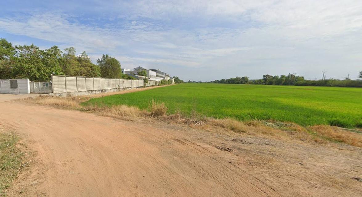 ขายที่ดินเปล่า สีม่วงลาย ฉะเชิงเทรา 3