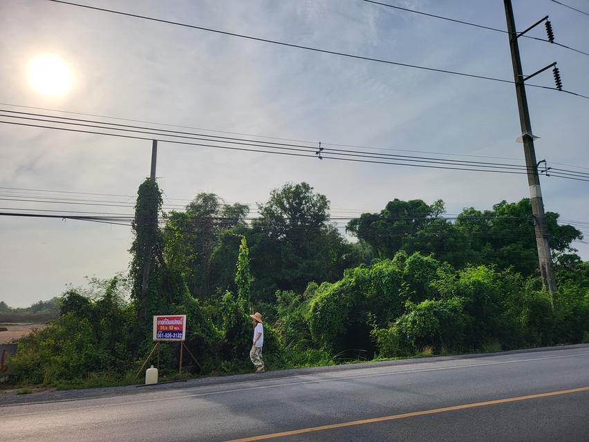 ขายที่ดิน คลอง13 ลำลูกกา ปทุมธานี 2