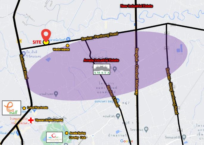 ขายที่ดิน อมตะ พานทอง 1