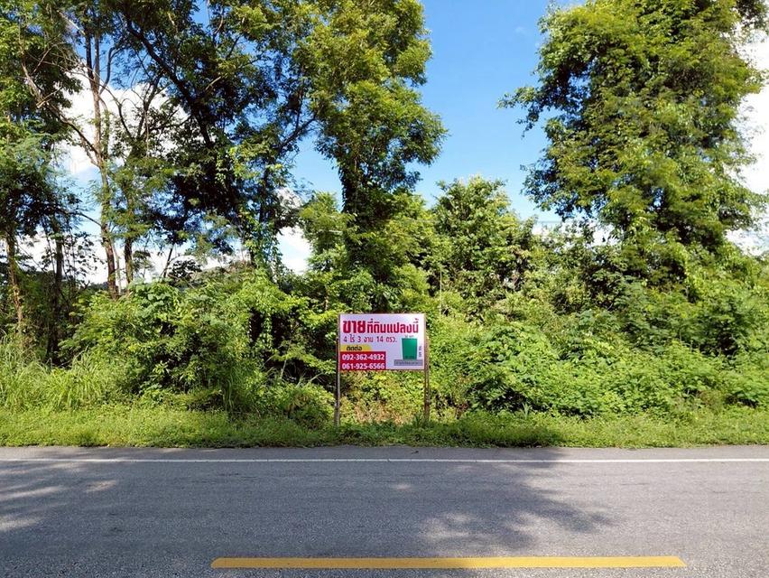 ขายที่ดิน 4 ไร่ครึ่งจังหวัดตาก