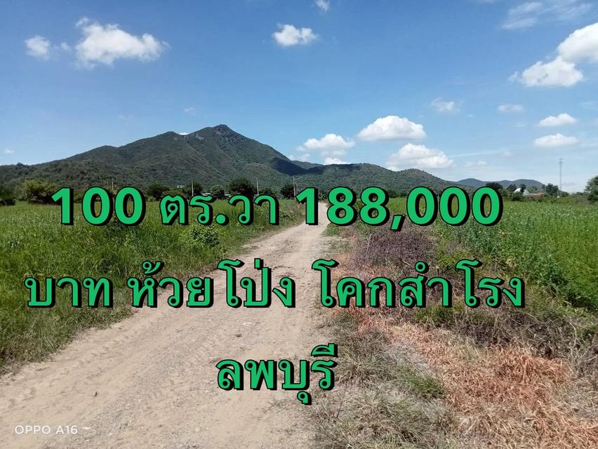 ที่ดิน ห้วยโป่ง โคกสำโรง จ. ลพบุรี 6