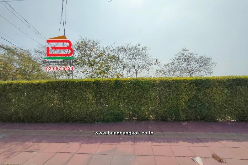 ที่ดินเปล่า หมู่บ้าน สราญธร คลอง 4 เนื้อที่ 87 ตร.ว ใกล้โลตัสคลอง 4 ตำบลบึงยี่โถ อำเภอธัญบุรี จังหวัดปทุมธานี