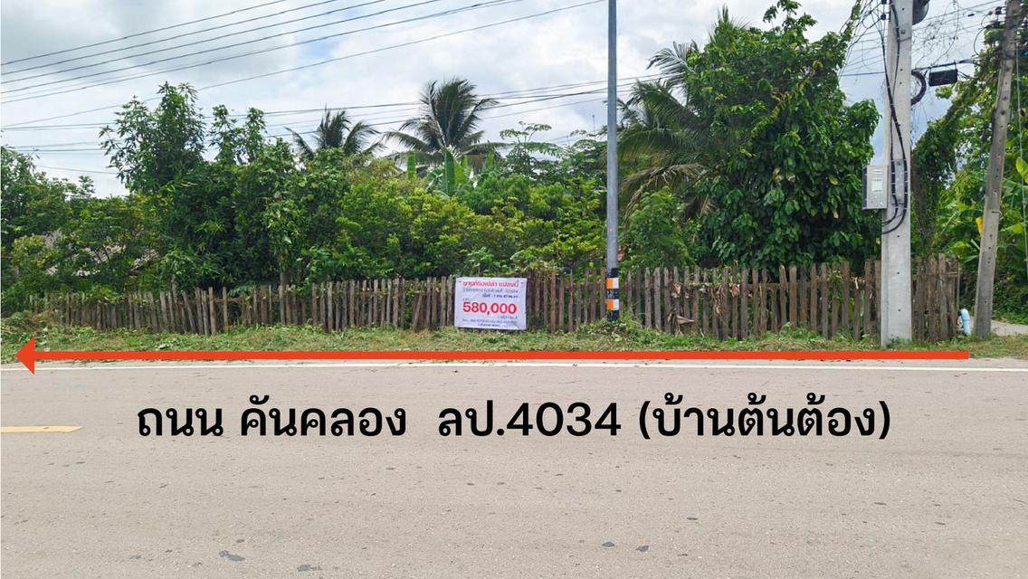 ขายที่ดินเปล่า 1 งาน 47 ตร.วา บ้านต้นต้อง ต.พิชัย อ.เมืองลำปาง 2