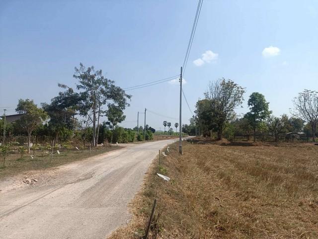 ขายที่ดินขนาด 6 ไร่ 3 งาน 84 ตารางวา ตำบลทุ่งหลวง อำเภอปากท่อ จังหวัดราชบุรี 2