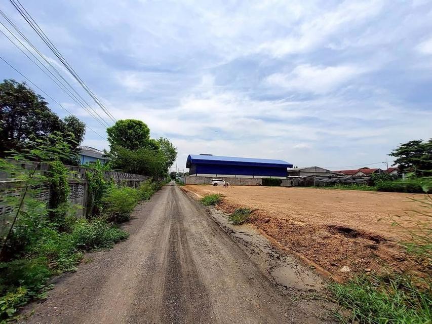 ขายที่ดินคลองห้า 1 ไรติดถนนสาธารณะ ถมสูงกว่าถนนซอย คลองห้า ตะวันออก 3 อ.คลองหลวง จ.ปทุมธานี รูปย่อยที่ 4