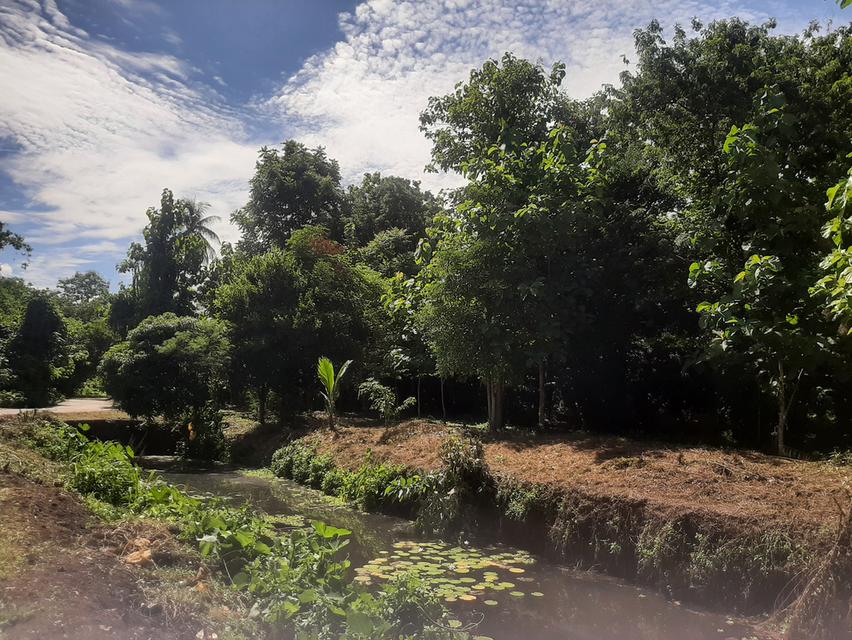 บ้านและที่ดิน ลำปาง ที่ติดลำธาร 1
