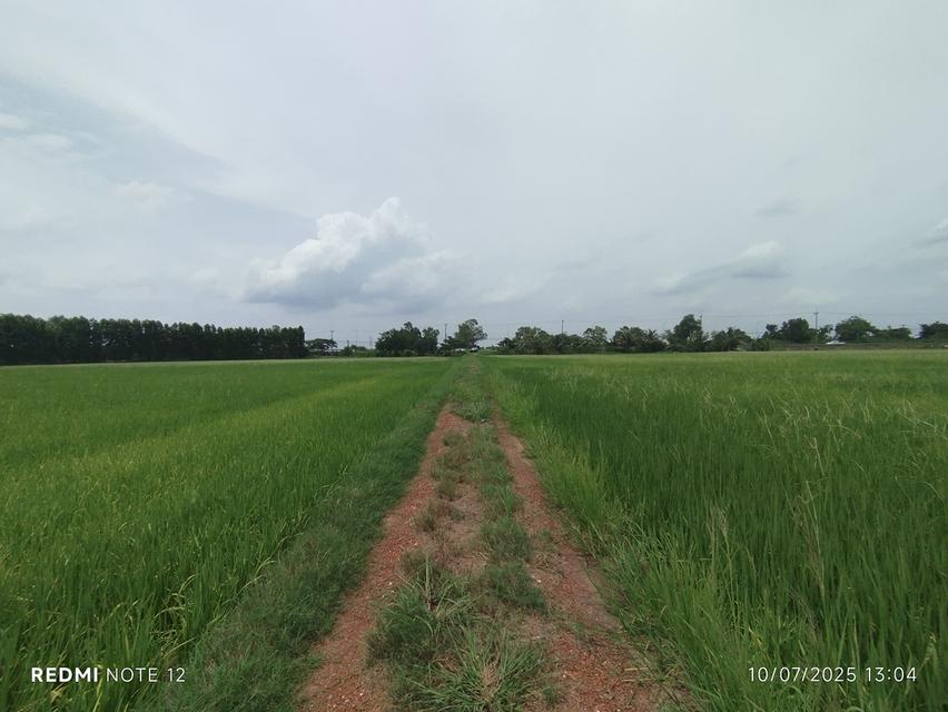 ที่ดินริมน้ำบางปะกง 30 ไร่เศษ ติดถนนใหญ่ + ติดแม่น้ำ วิวสวย ศักยภาพสูง เหมาะลงทุนรีสอร์ท พูลวิลล่า หรือโครงการท่องเที่ยวครบวงจร 9