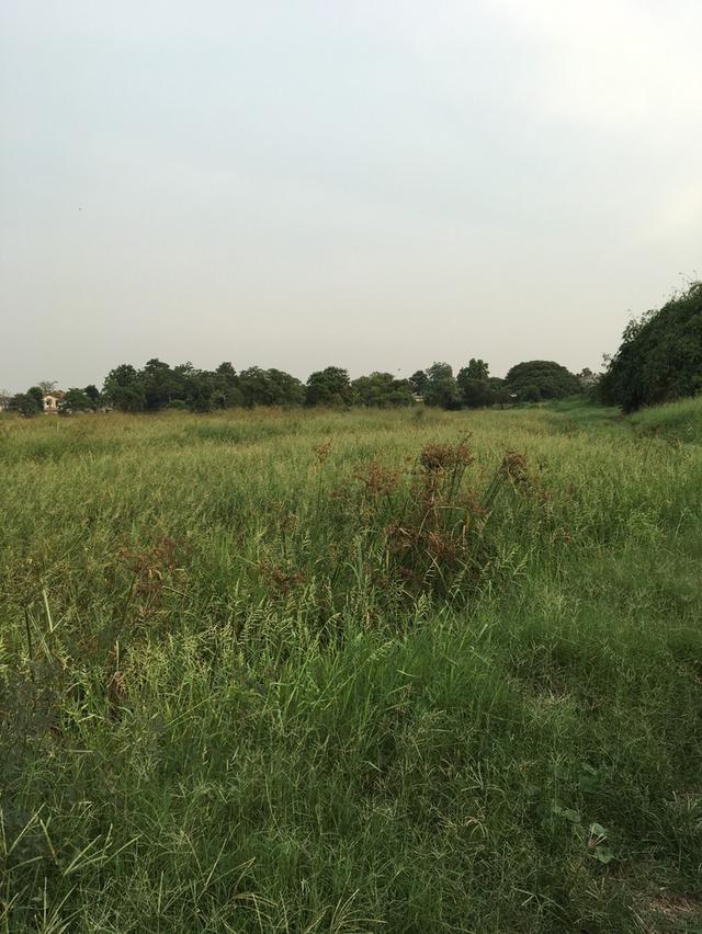 เนื้อที่ ทั้งหมด 46 ไร่ 2 งาน 20 ตารางวา 7