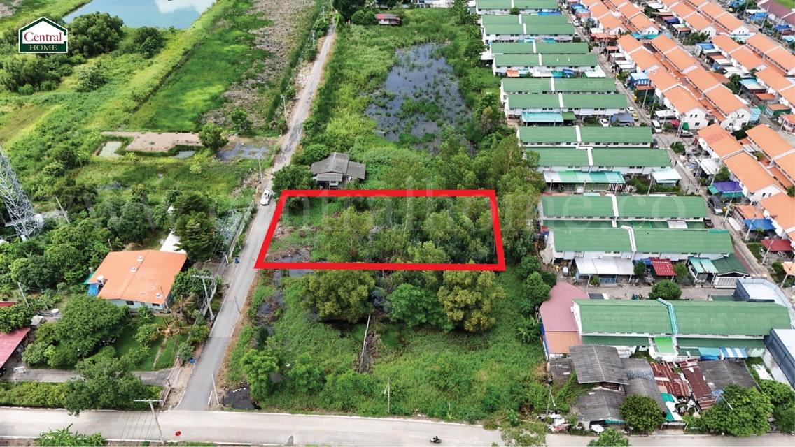 ที่ดินเปล่า 285 ตร.วา ซอยบงกช 55 คลอง 2 ปทุมธานี 5