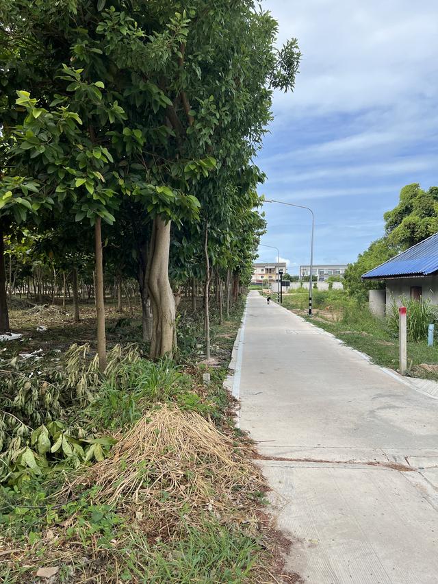 ขายที่ดิน 7