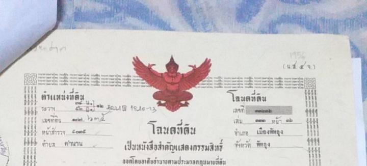 ขาย/ให้เช่า/หรือแลกเปลี่ยน ที่ดินสวนผลไม้ 1 ไร่ 2 งาน 3.8 ตร.ว. ติดคลองนุ้ย ต.ตำนาน อ.เมืองพัทลุง 11