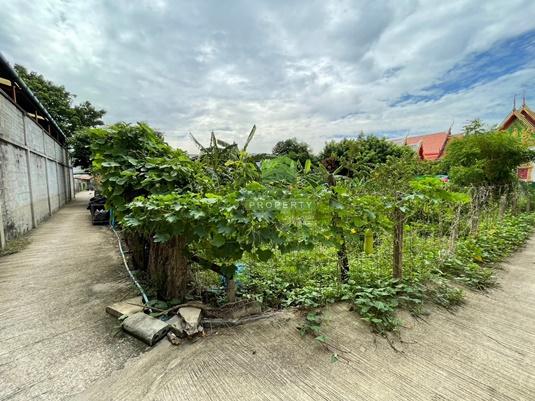 ขายที่ดินเปล่า 100 ตร.ว. แปลงมุม ซอยวัดศรีเรืองบุญ ปลายบาง บางกรวย นนทบุรี 2