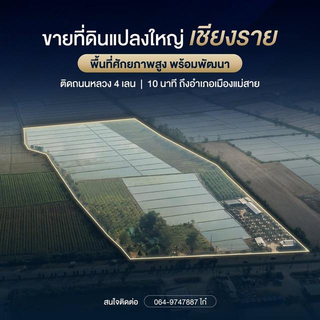 ขายที่ดิน 46ไร่ 2งาน 53ตร.ว อ.แม่สาย จ.เชียงราย 1