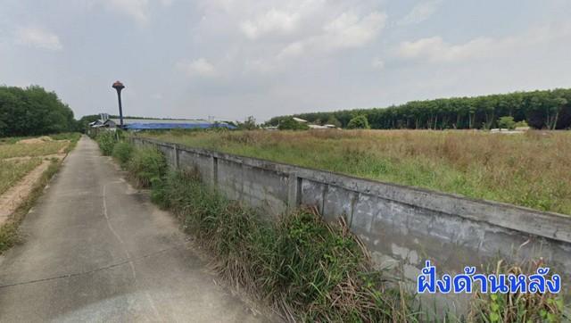 ขายที่ดิน 9-3-31 ไร่ แปลงสวย ติดถนนสองฝั่งหน้าหลัง พื้นที่ม่วงจุดขาว มาบยางพร ปลวกแดง 2