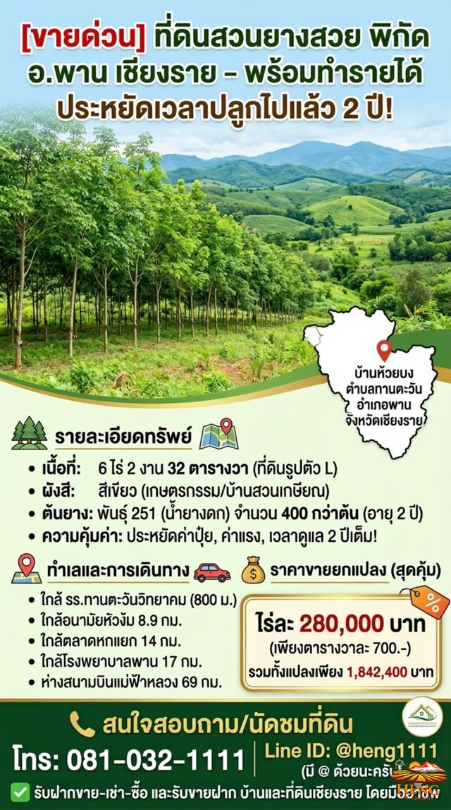 ขายที่ดินสวนยางพารา อำเภอพาน จังหวัดเชียงราย พร้อมทำประโยชน์ต่อได้ทันที 6