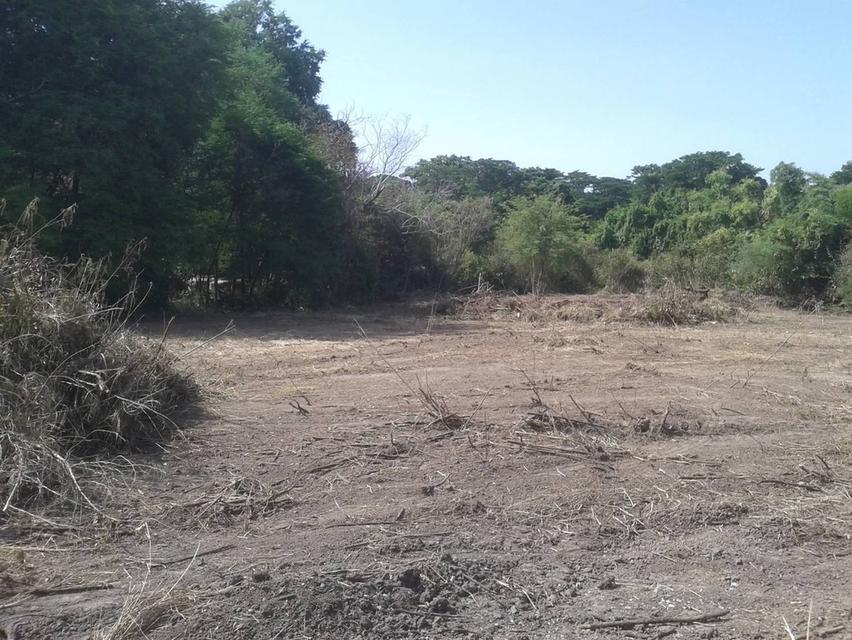 ที่ดินริมแม่น้ำป่าสัก จังหวัดสระบุรี 7