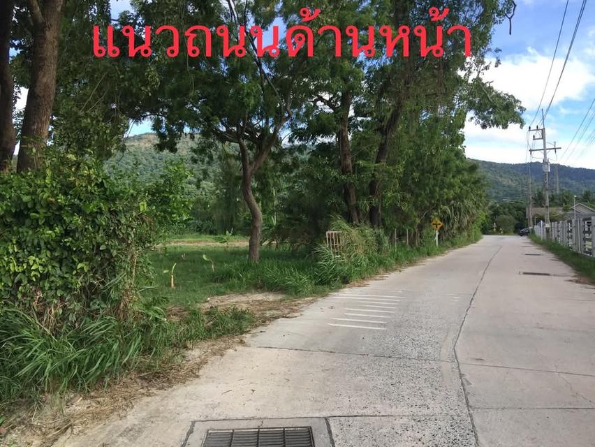 ขายที่ดินยกแปลง 10.9175 ไร่ เหมาะสำหรับทำบ้านพักตากอากาศ รีสอร์ท ร้านอาหาร บ้านช่องมะเฟือง ต.หนองรี อ.เมือง ชลบุรี 7