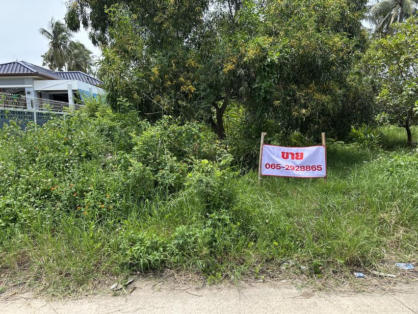 ขายที่ดินม่วงงาม จังหวัดสงขลา 9