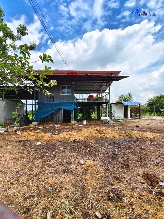 ขายที่ดินพร้อมสิ่งปลูกสร้าง 180 ตร.ว. คลองหลวง ปทุมธานี 1