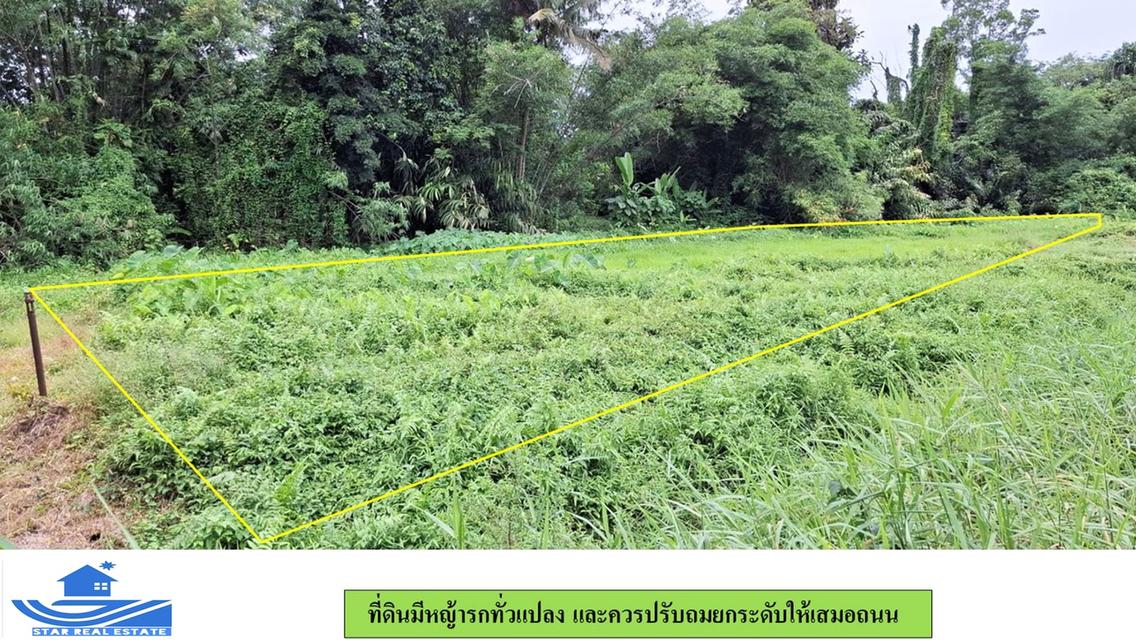 ขายที่ดินแถวน้ำตกโตนไทร ไร่กว่าๆ  2