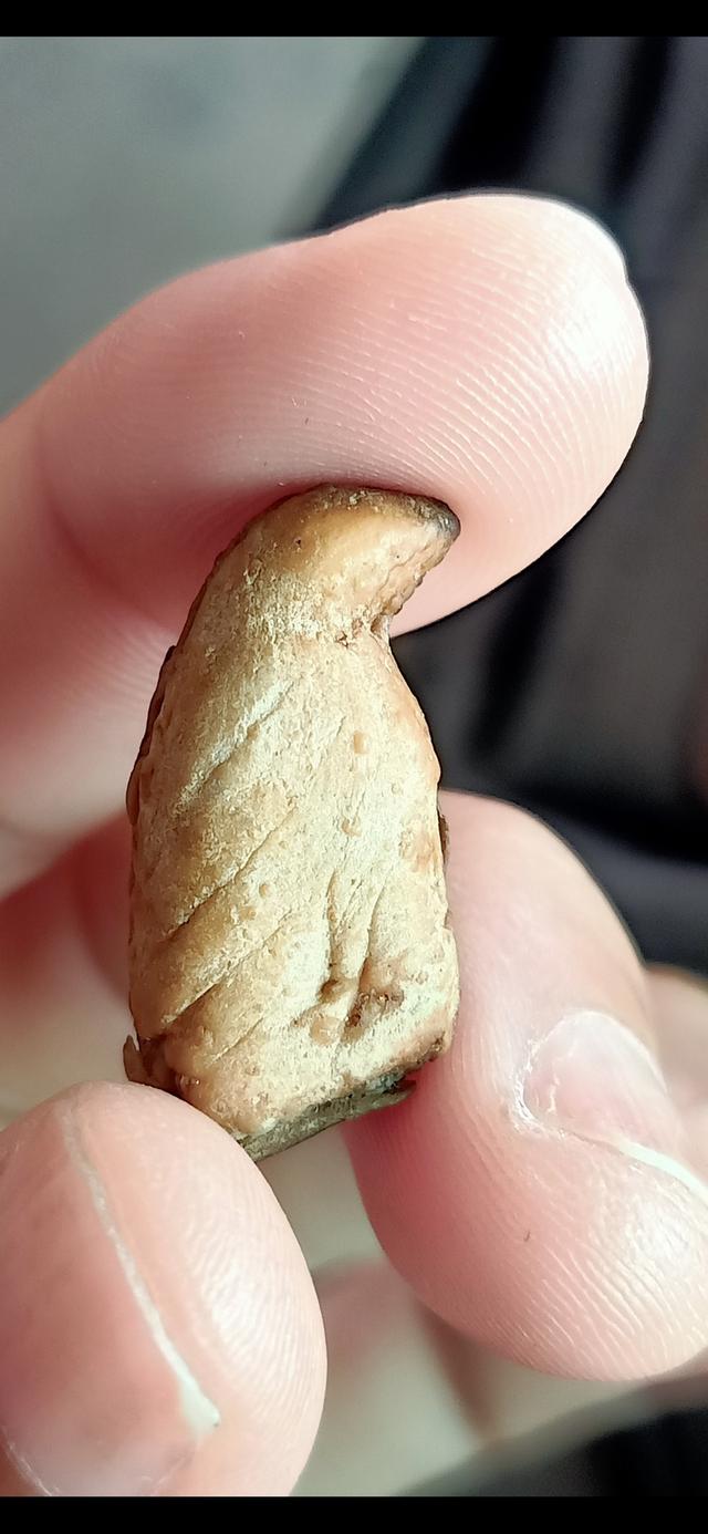 สาริกา หลวงพ่อสนิท วัดลำบัวลอย