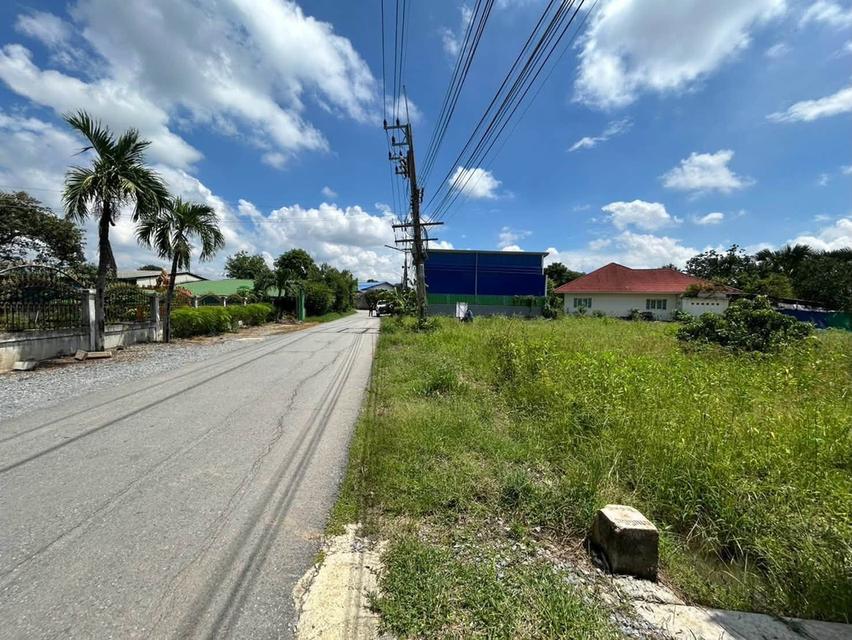ขายด่วนที่ดิน 345 ตรว ติดถนนลาดยางสาธารณะ ถมแล้ว ต.แหลมบัว อ.นครชัยศรี จ.นครปฐม 10