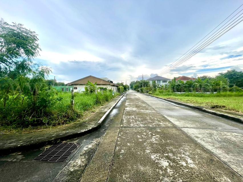 ที่ดินเปล่า 246 ตร.วา ปัญญาเลคโฮม คลองสามวา ขายเท่าราคาประเมิน 4
