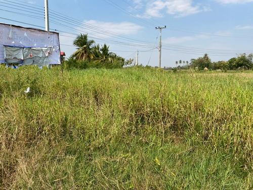 ที่ดิน 1-3-59.0 ไร่ ต.ขามทะเลสอ อ.ขามทะเลสอ จ.นครราชสีมา 7