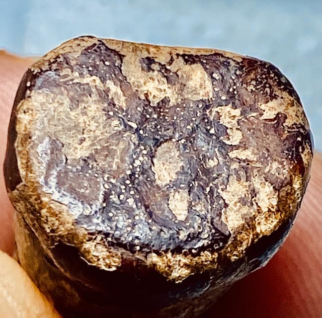 พระปิดลอยองค์ จุ่มรักแดง รูปที่ 3