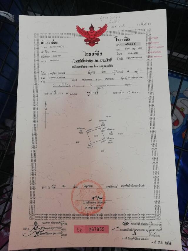 ขายที่ดินบ้านสวน ราคาถูกๆ1ไร่4ล้านหนองแขม 9