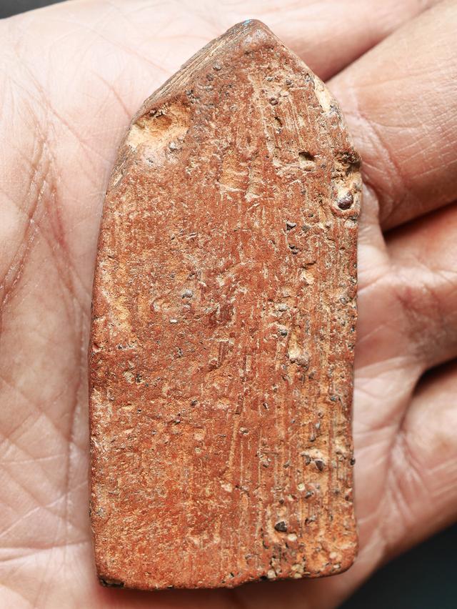 พระเชียงแสน ปรกโพธิ์ พิมพ์ใหญ่ เนื้อดิน ขนาด 3 x 6 ซม....เก่าๆ รูปที่ 7