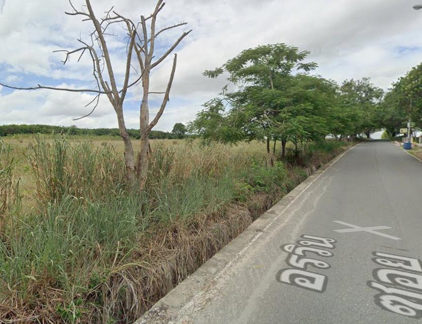ขายที่ดินปลวกแดง 10 ไร่ ซอยอรวิน5 ใกล้ถนนเส้นปลวกแดง-บ่อวิน(3013) - 1 กม. จ.ระยอง 6