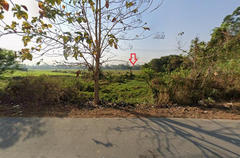 ที่ดินเชียงใหม่–ดอยสะเก็ด ทำเลทอง ติดถนนใหญ่ 6