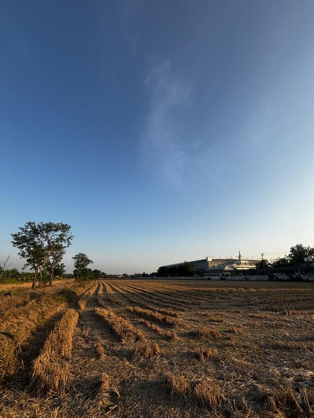 ขายที่ดิน 23ไร่50ตารางวา ห่างถนนใหญ่เพียง800เมตร ที่ดินติดหมู่บ้านCasalena ห่างmrtสถานีตลาดมีนบุรี4.8กิโลเมตร ถนนนิมิตใหม่ซอย22 เขตคลองสามวากรุงเทพฯ 3