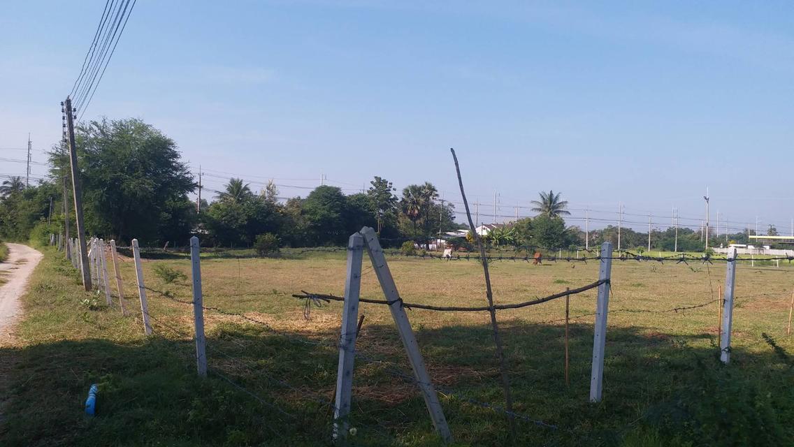ขายที่ดิน 4 ไร่ ต. เขาขลุง อ. บ้านโป่ง จ.ราชบุรี ถมแล้ว+มีรั้ว ติดถนน 2 ด้าน ใกล้แหล่งชุมชน 5