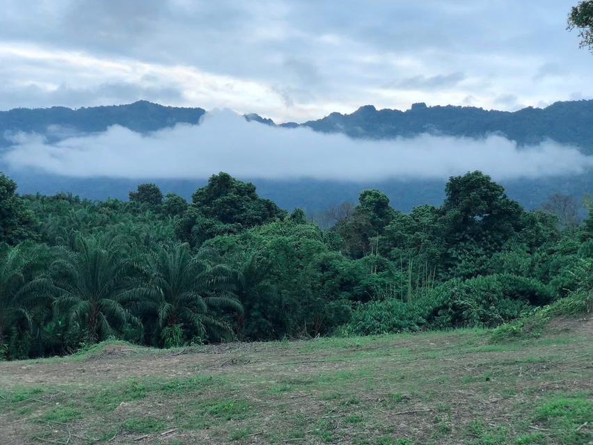 ที่ดินวิวภูเขา ทางขึ้นอีต่อง 8