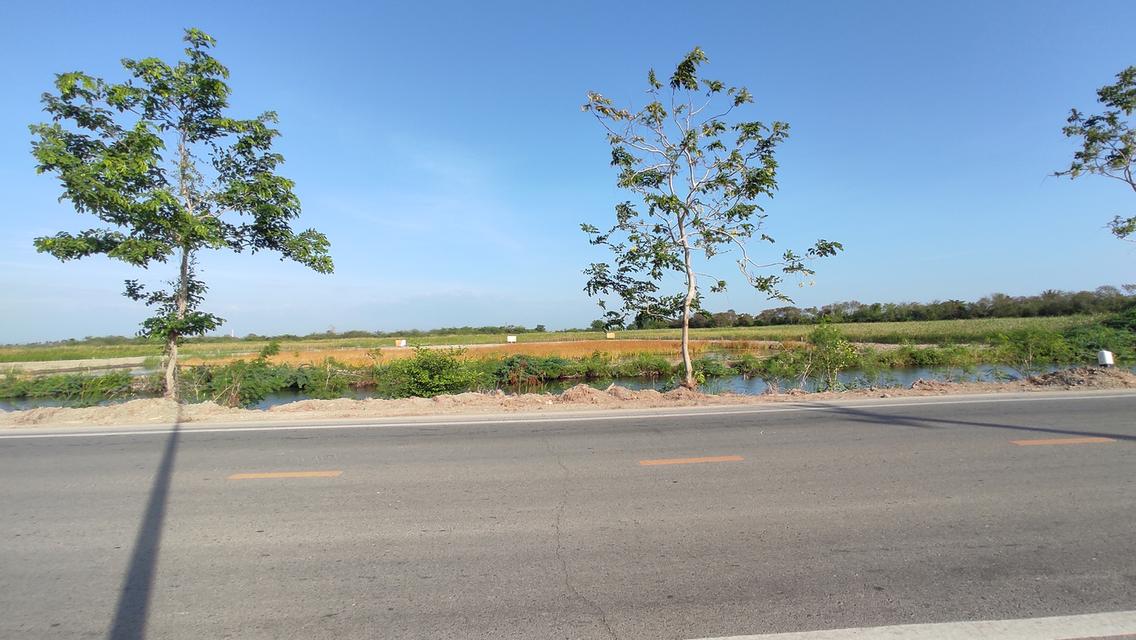 ที่ดิน 4