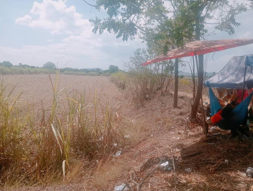 ที่ดินเปล่าที่นา ทำเลดีราคาถูก 1