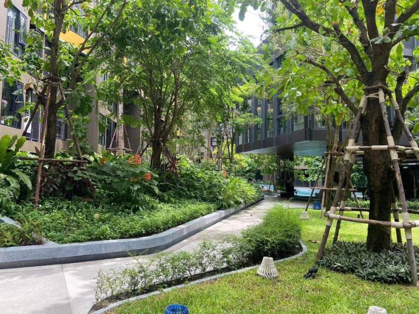 คอนโด เดอะเบส เซ็นทัล ภูเก็ต 3