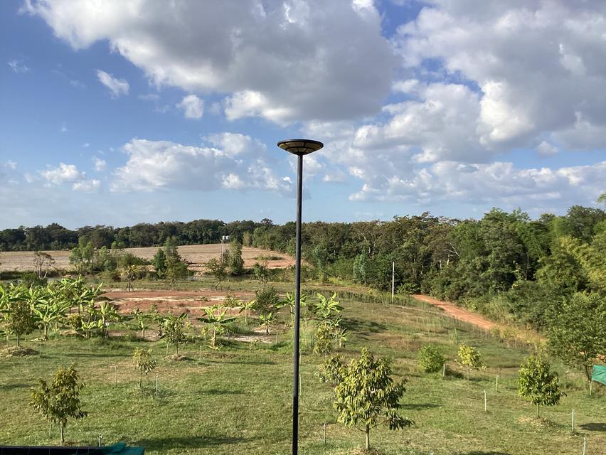 ที่ดินทำบ้านพักตากอากาศบนภูกระเเต จ.นครพนม 4